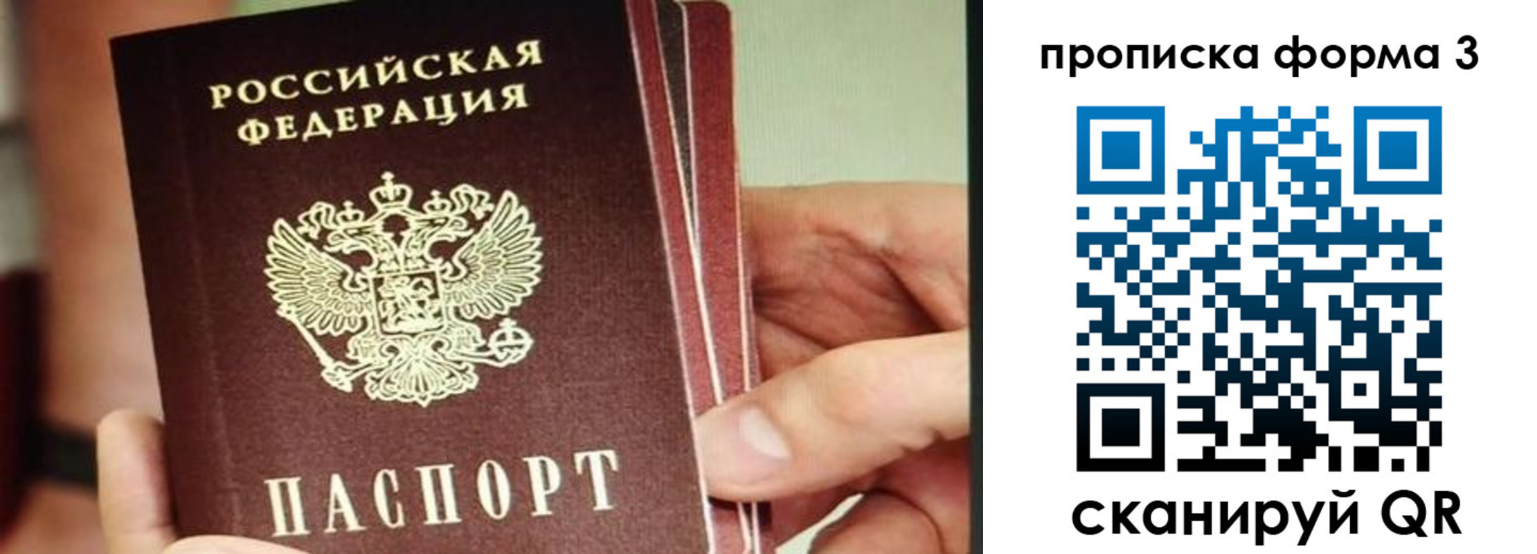 прописка законно в Алексине